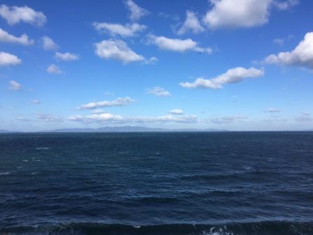 ジグサビキでアジ、サバ